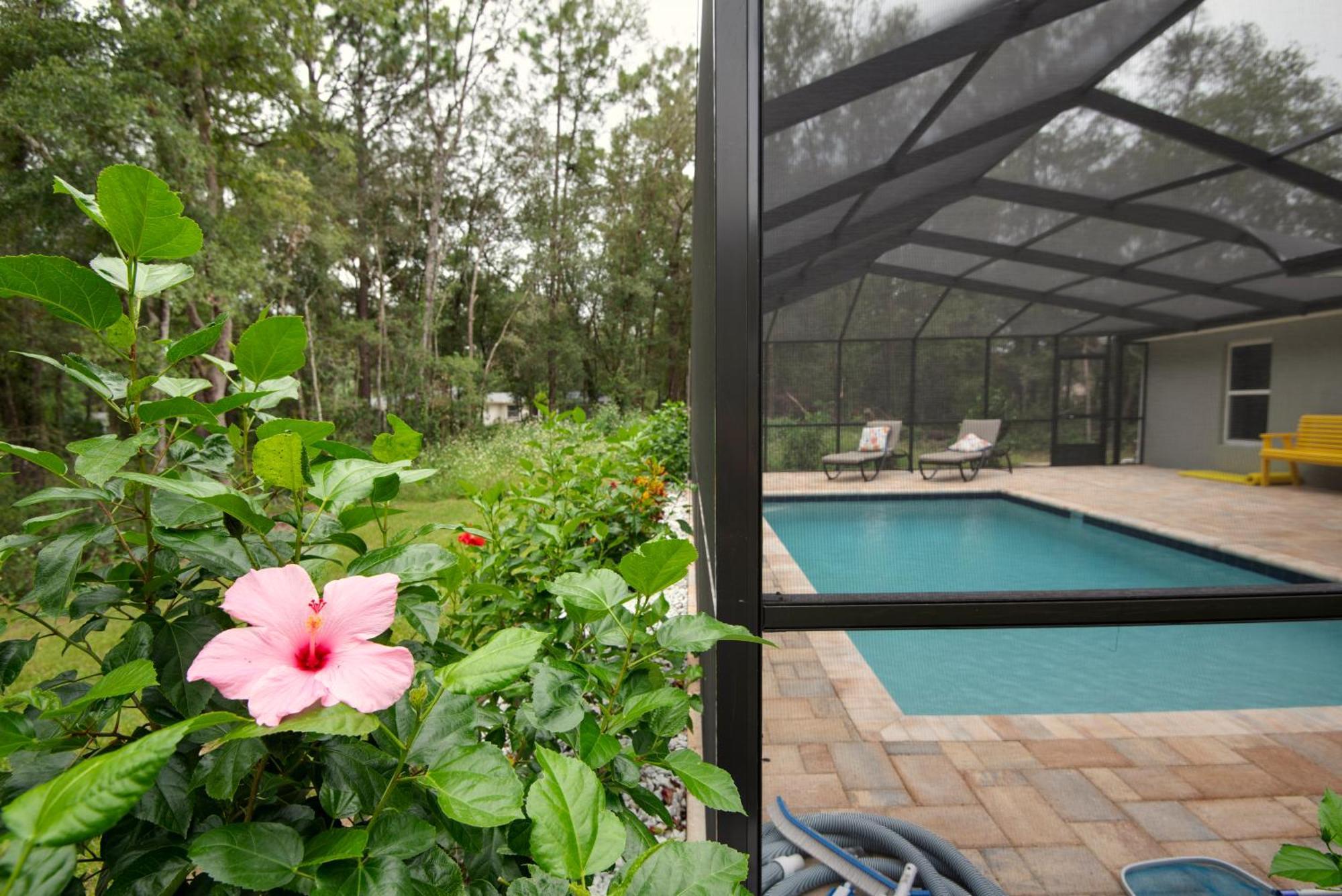 Pet-Friendly, Heated Pool, Close To Everything 3 Bedroom Home Dunnellon Exterior foto